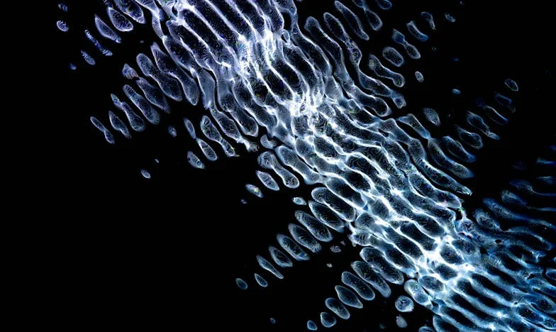 Le prix du silence : Quand la famille devient un champ de bataille