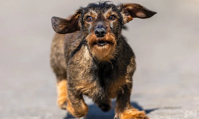 Le Retour qui a Tout Brisé : Chronique d’une Fracture Familiale