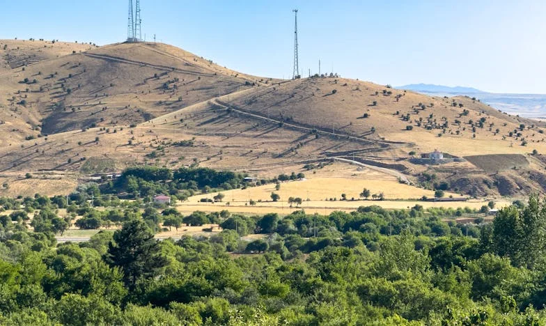 Le silence de Camille : une mère face à l’éloignement de sa fille