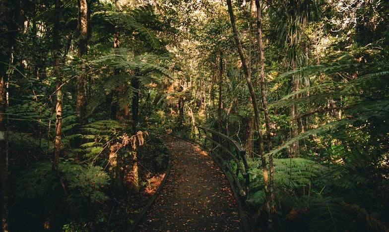 Le silence de Camille : une mère face à l’impensable