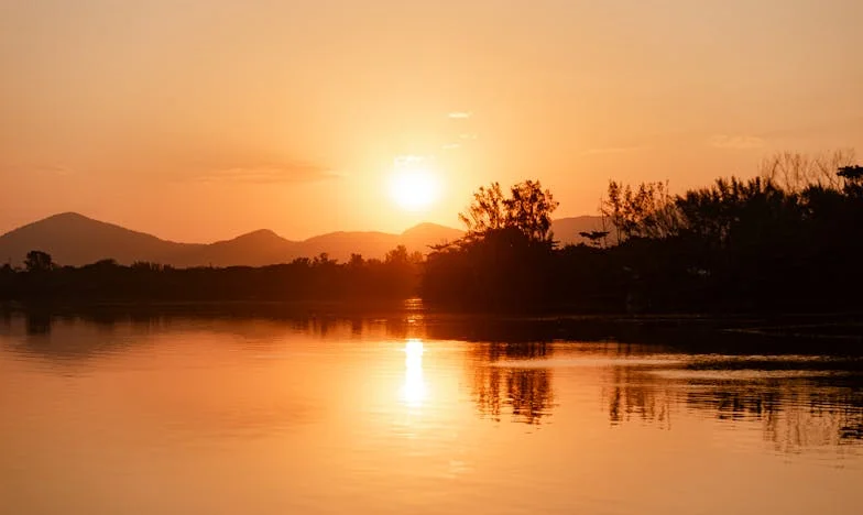 Le Silence de Michel : Quand la retraite vole la parole et l'amour