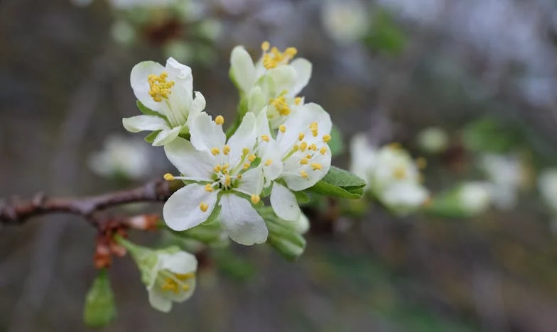 Le Silence de Mon Frère : Comment Son Mariage Déchire Notre Famille
