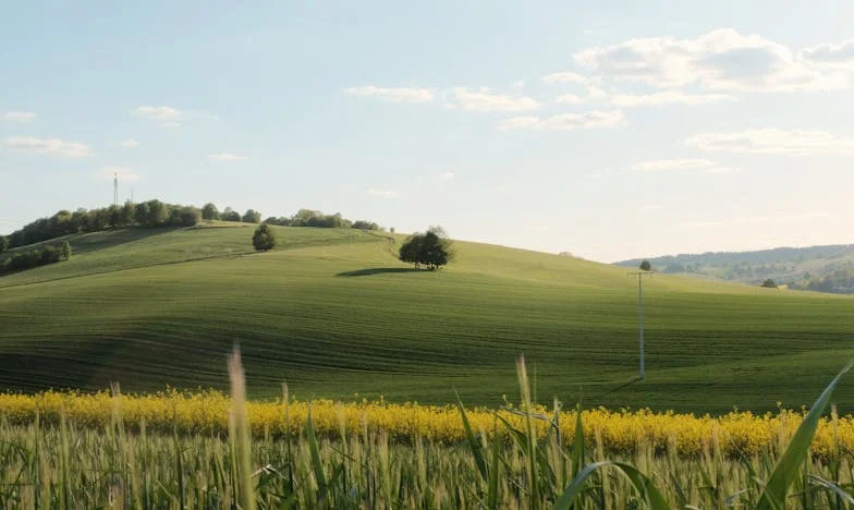 Les Appels de Ma Fille : Entre Espoir et Désillusion