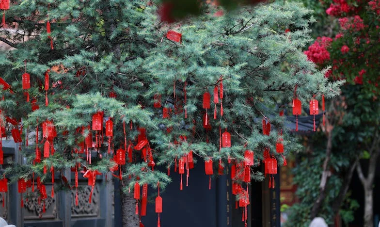 L’Héritage de la Rue Saint-Martin : Quand Paris nous a déchirés
