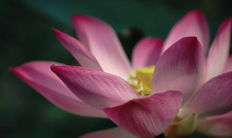 L’invitation qui a tout brisé : quand mon passé revient me hanter