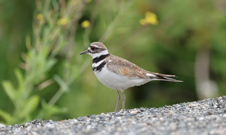 Ma mère refuse de garder mes enfants : le poids d'une solitude invisible