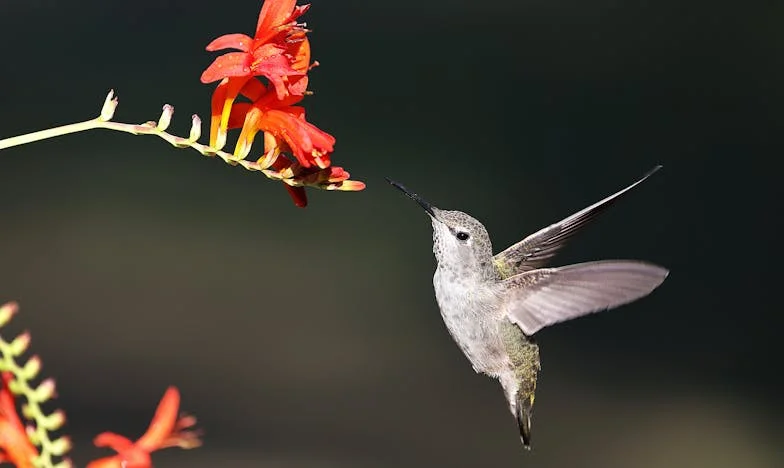 « Maman, tu restes à l’hôtel » : Quand l’amour filial s’effrite derrière les portes closes