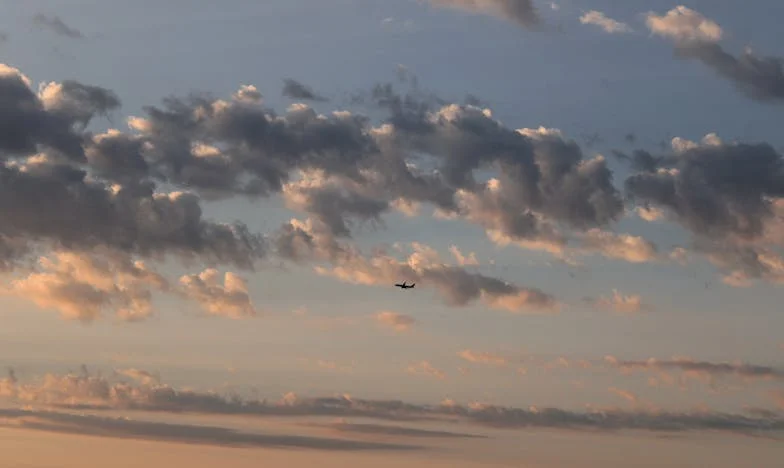 Mon gendre, ce justicier incontrôlable : chronique d’un chaos familial