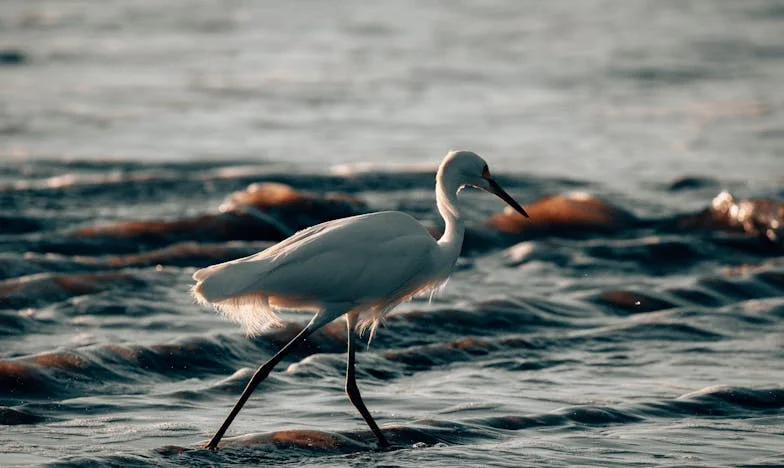 Mon refus, mon regret : L'histoire d'une mère face à l'amour de son fils