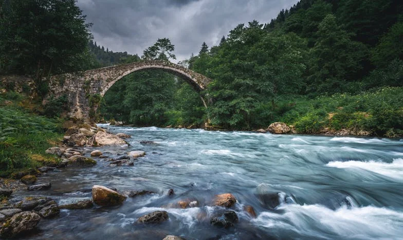 Quand la Fierté Déchire : Une Histoire de Famille et d'Indépendance à Lyon