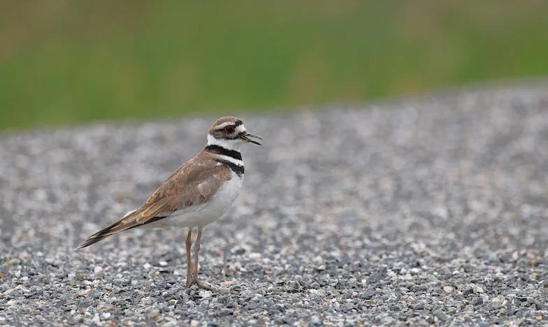 Quand la porte se referme : renaître à 58 ans