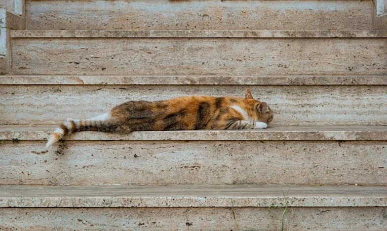 Quand l’amitié devient un fardeau : l’histoire de Claire et Sophie