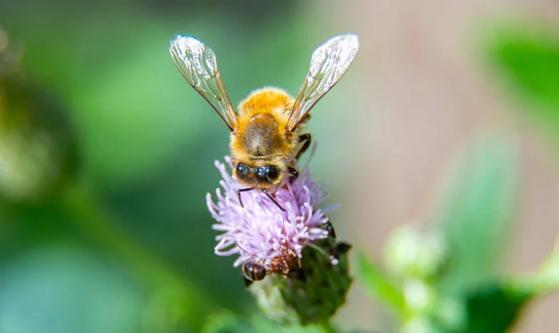 Quand les enfants de mon compagnon ont découvert notre vie commune : le chaos sous notre toit