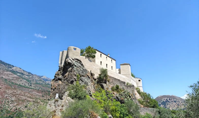 Quand les grands-parents s'affrontent : la naissance de Louise et la guerre des familles