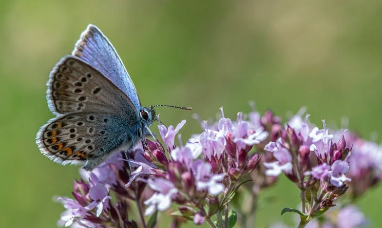 Quand l’harmonie se brise : Mon fils, ma nouvelle épouse et le prix du bonheur