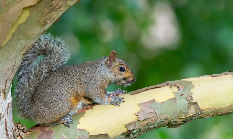 Quand ma belle-fille a voulu m’expulser à Noël : une nuit qui a tout changé