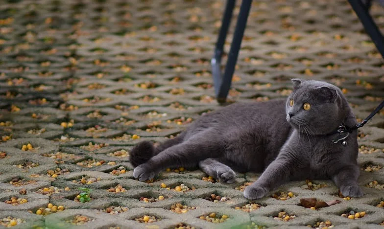 Quand mon fils m’a avoué qu’il n’avait pas encore demandé le divorce…
