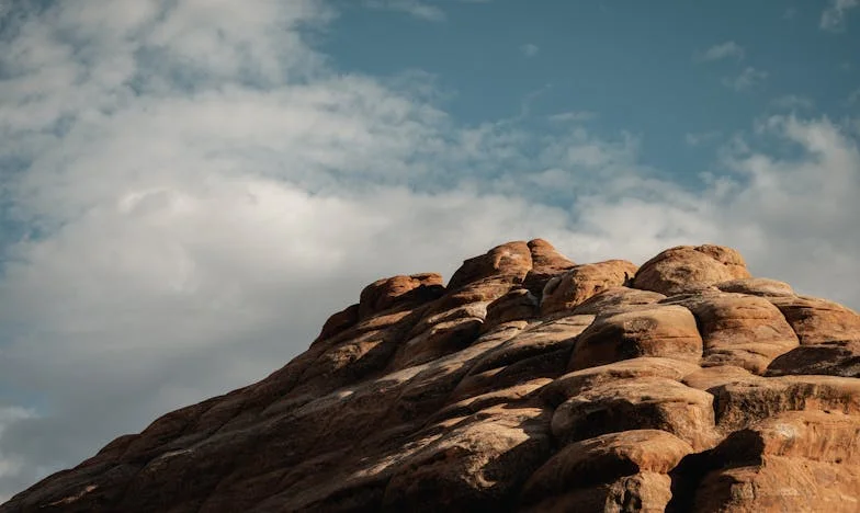 Rien que du frais, ou rien du tout : Le prix de l'intransigeance