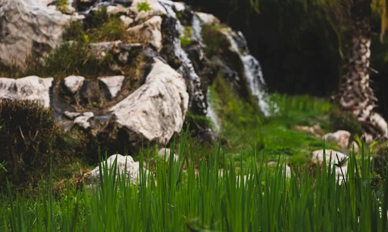 Un cri dans la nuit : Le jour où tout a basculé