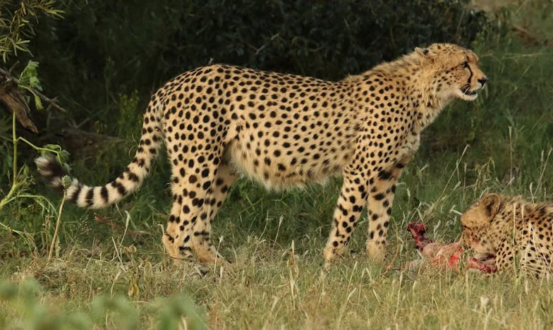 Deux ans plus tard : Mariée à un homme divorcé, je demande le divorce – Sa fille et nos rêves dans un studio parisien