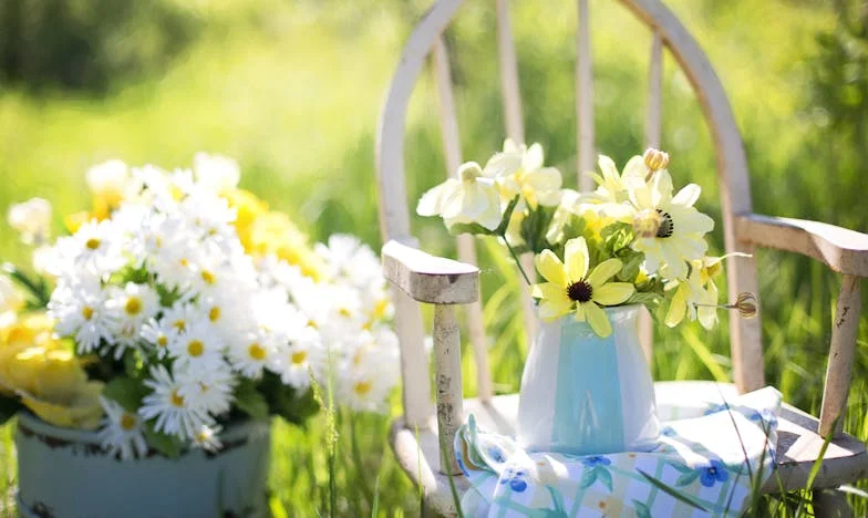 Entre amour et loyauté : le récit de ma famille brisée