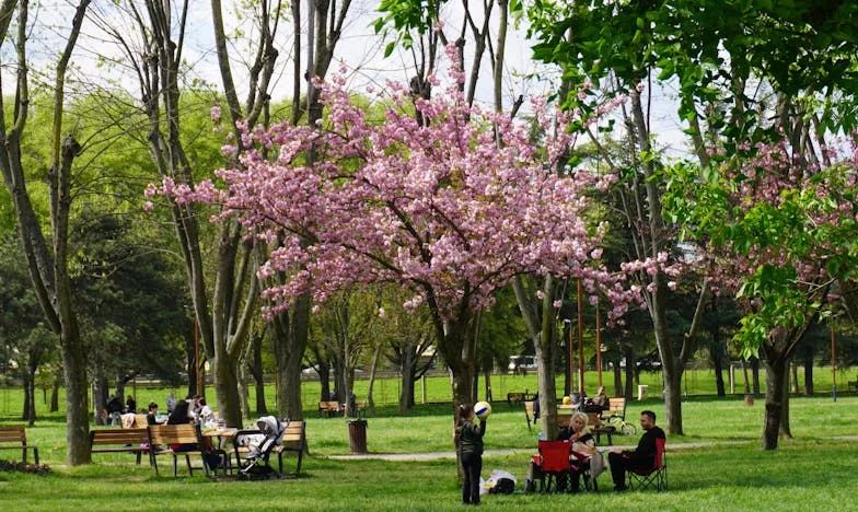 Entre Fierté et Pardon : Le Retour Inattendu de Mon Fils