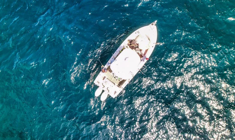 Entre le sang et les larmes : quand ma mère a choisi sa sœur plutôt que moi