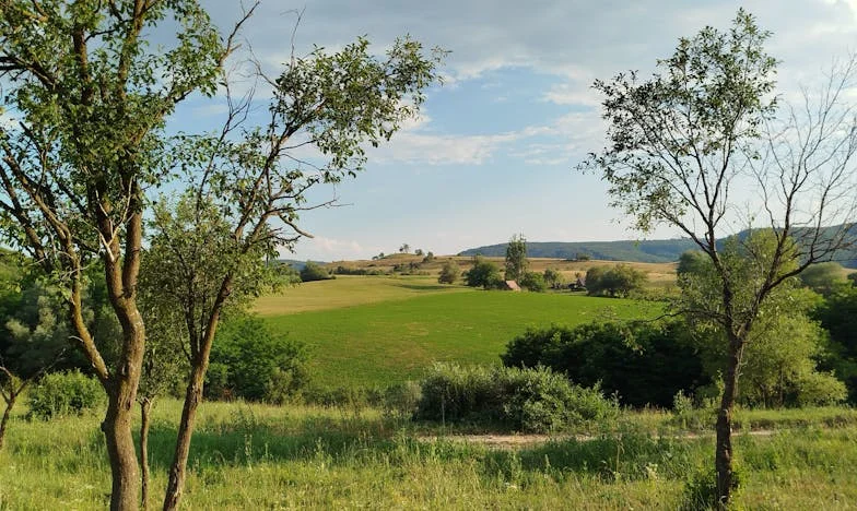 Fêlure et réconciliation : Mon chemin vers l’indépendance après le divorce