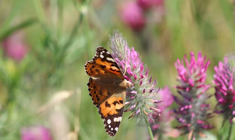 J'ai rejeté ma belle-fille – puis j'ai compris que ce n'était pas elle le vrai problème