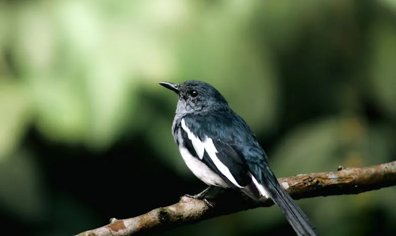 La blessure invisible : Quand le passé revient frapper à la porte