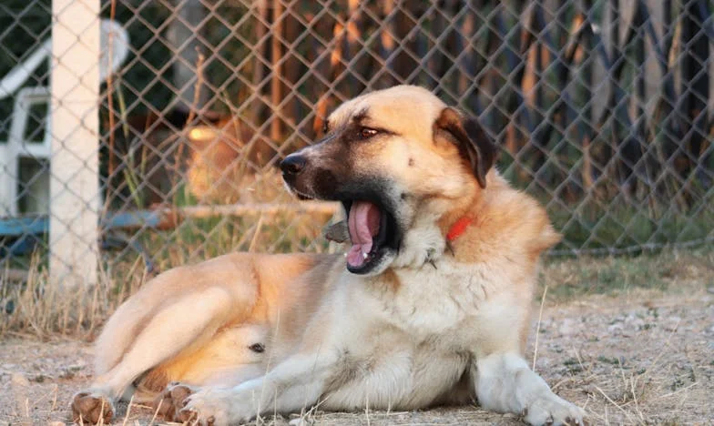 La maison de mamie, ou le poids de l’héritage