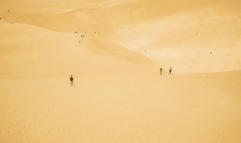 Le jour où tout a basculé : une révélation bouleversante à travers un écran