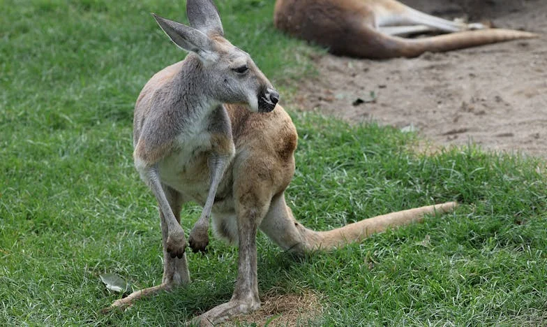Le parfum amer des secrets : Comment les non-dits familiaux ont brisé mon mariage