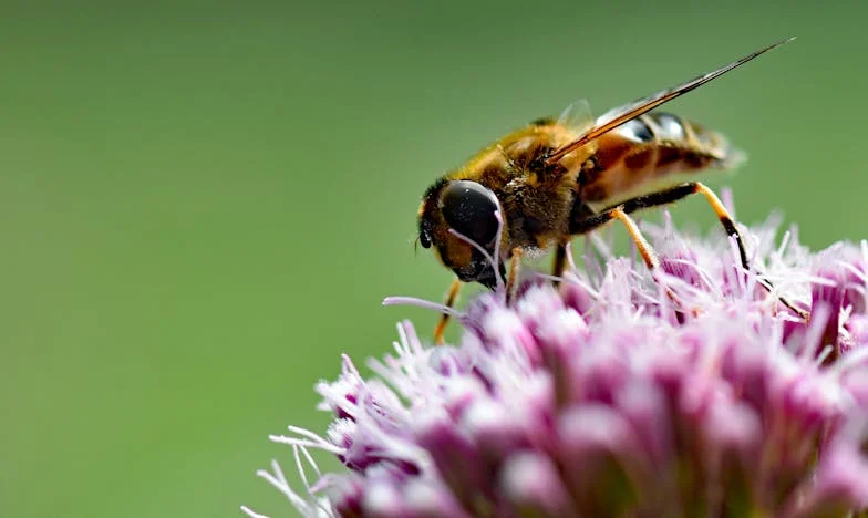Le Silence de Claire : Entre Mère et Fille, le Poids des Non-Dits