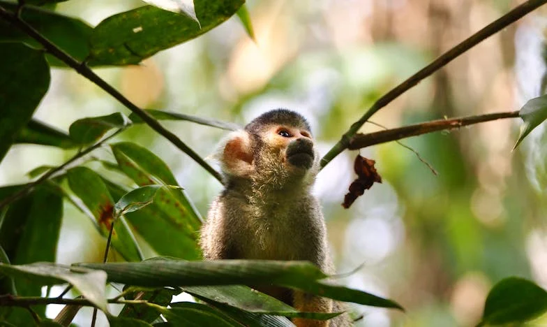Le Silence de Ma Fille : Quand l'Amour Devient un Fardeau