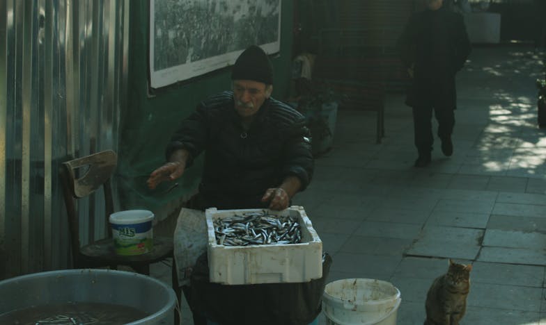 Le silence de mon fils : une mère face à l’inimaginable