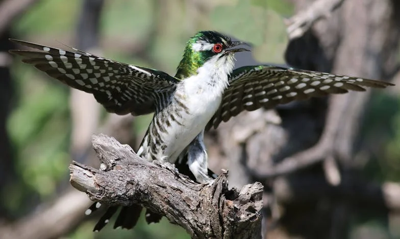Ma Belle-Fille Ne Sait Pas Cuisiner : Un Cœur de Mère Entre Espoir et Détresse