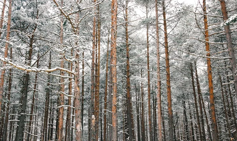 Ma fille, mon miracle... et mes peurs pour son avenir