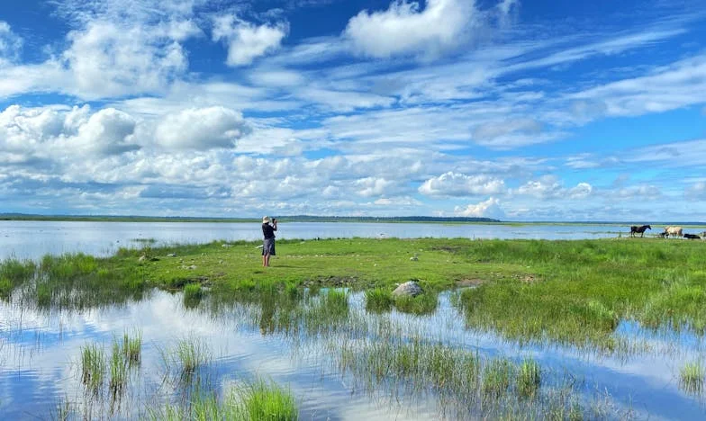 Ma sœur a vendu sa voiture à notre mère : la blessure qui ne guérit pas