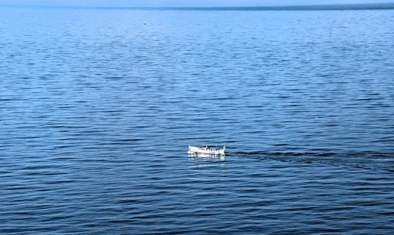 Mensonges, silences et renaissance – Le chemin d’Élise vers elle-même
