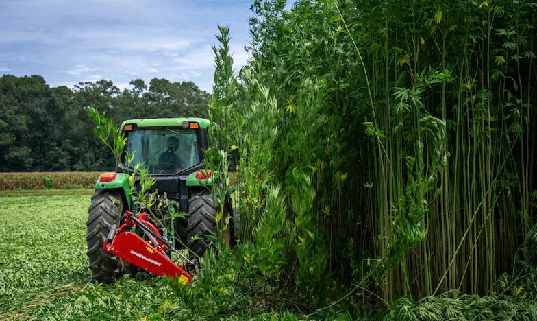 Mon camion rouge, mon sacrifice : le choix d’Arthur
