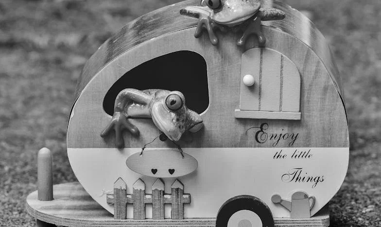 On ne pense à moi que pour garder Zoé : Confession d'une mère oubliée