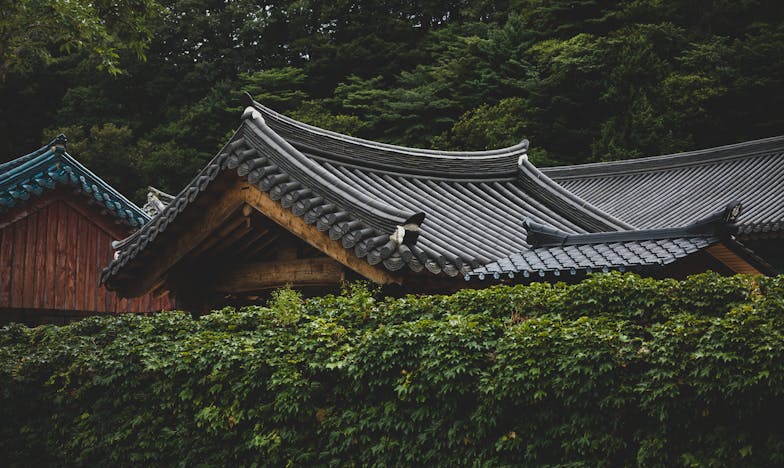 Partir pour exister : l’histoire d’un départ incompris