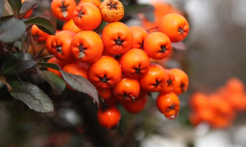 Quand la distance rapproche : l’appel qui a tout bouleversé