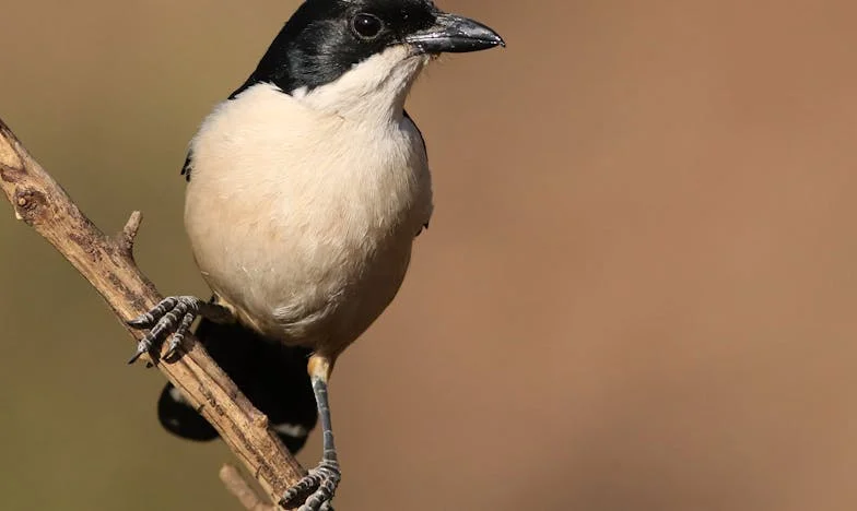 Quand la famille de mon mari m’a trahie : briser le cercle du silence