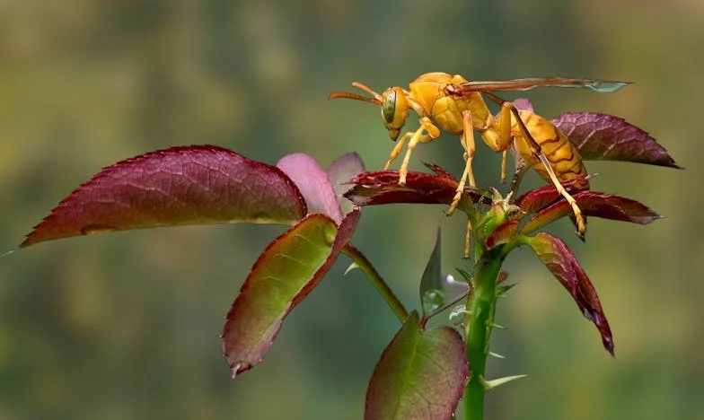 Quand la fierté déchire la famille : Mon combat pour l’indépendance et l’amour