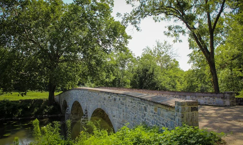 Quand l’argent déchire le sang : l’histoire d’Élise et de ma sœur