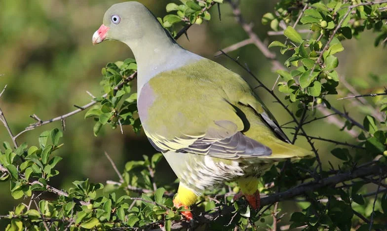 Quand ma belle-mère a pris le contrôle de notre foyer : chronique d'une famille en crise
