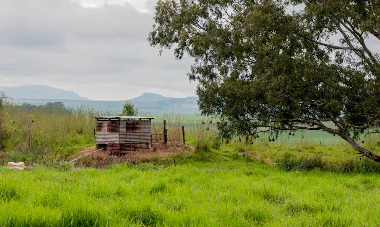 Quand ma belle-mère a pris ma place : chronique d'une famille française au bord de l'implosion