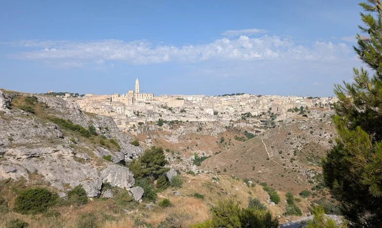 Quand ma belle-sœur a fermé la porte : Chronique d’une famille française déchirée puis réunie